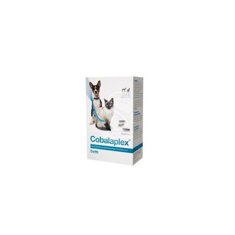 Protexin Cobalaplex Chien Chat 60 Capsules Cdiscount