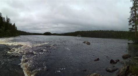 Finland Nature Forest Lake River Rain Summer Stock Photo Image Of