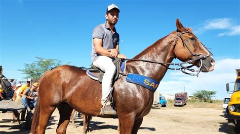 Feira De Cavalos Em Cachoeirinha Pe Nordeste Youtube