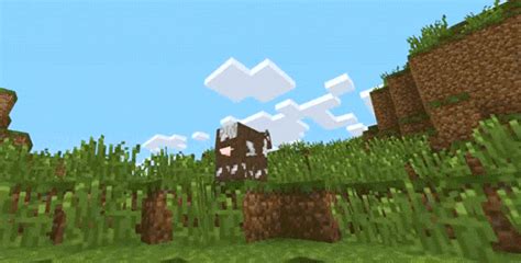 Funny Animated Gif: Funny Minecraft Animated Gif