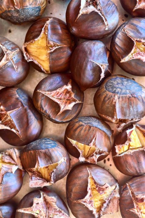 Chestnut Shell