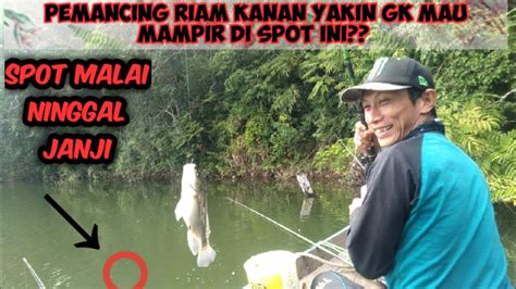 Mancing Nila Babon Riam Kanan Full Strike Spot Malai YouTube