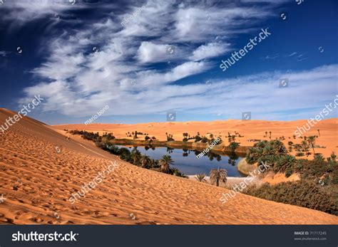sahara desert oasis