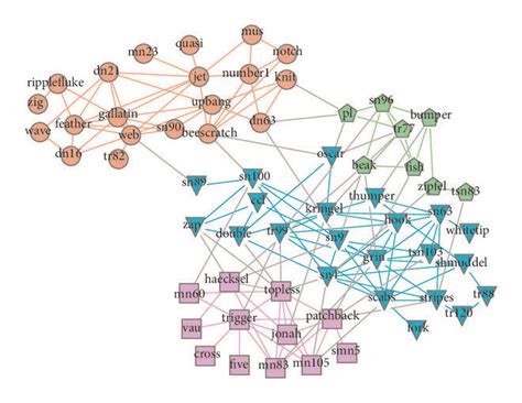 The dolphin social network. (a) The ground-truth community structure.... | Download Scientific ...