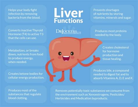 Bile What Is It How To Improve Liver And Gallbladder Health Liver