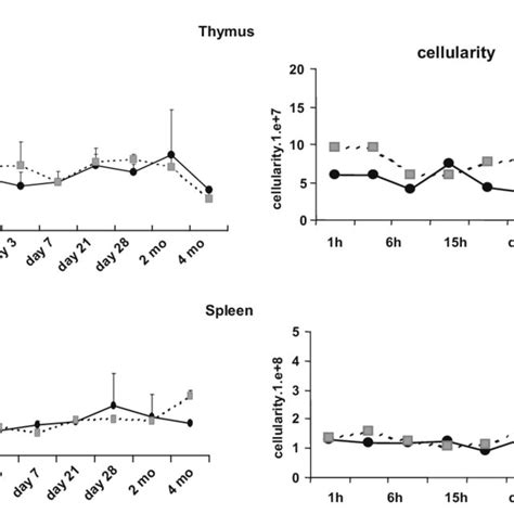 Measurement Of Spleen And Thymus Weight And Cellularity Following 12 C