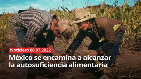 ¿hacia La Autosuficiencia El Plan De México Para Paliar La Inminente Crisis Alimentaria Mundial