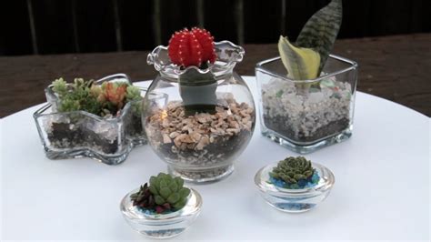 How To Create Succulents In Glass Containers YouTube