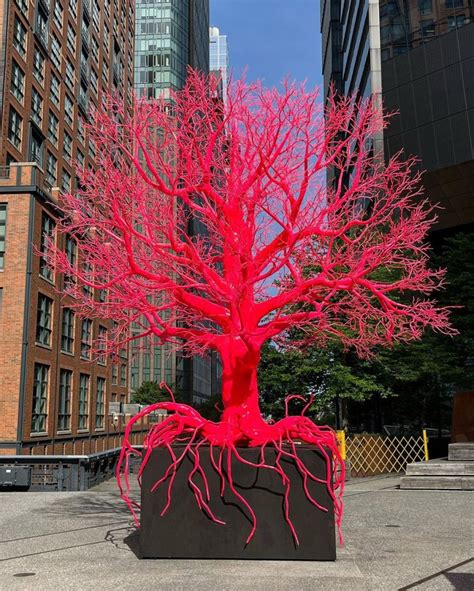 Rosenkranz High Line Old Tree Miguel Abreu Gallery