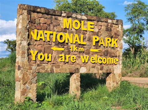 Wildlife conservation: Rangers at Mole National Park arrest poacher - OnuaOnline