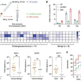 EV Protein Profiling With FLEX A B CCA EpCAM MUC1 And EGFR And EV