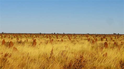 A&K Travels: Tanami Desert