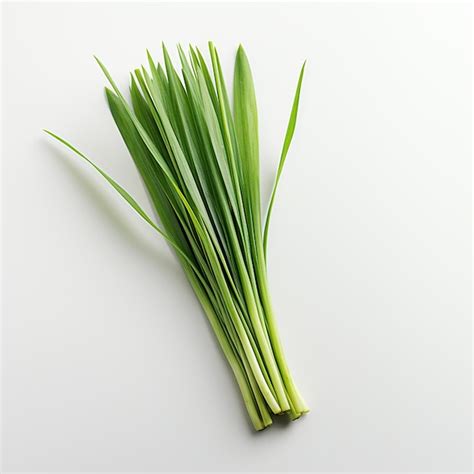 Premium Ai Image Lemongrass Isolated On White Background