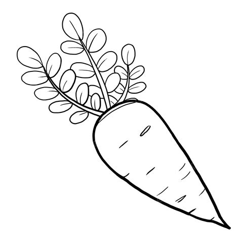 Clipart Carrot Black And White