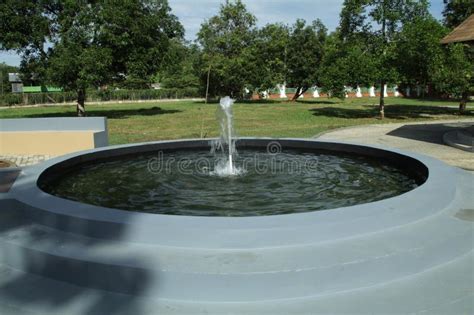 In the Midst of the Enchanting Beauty of the Garden Stock Photo - Image ...