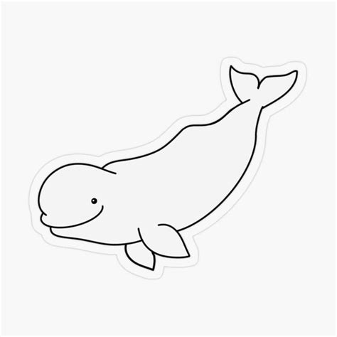 Cartoon Beluga Whale By Marina Rehder Redbubble Whale Coloring Pages Beluga Whale Whale