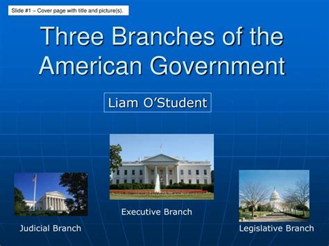 PPT - Three Branches of the American Government PowerPoint Presentation ...