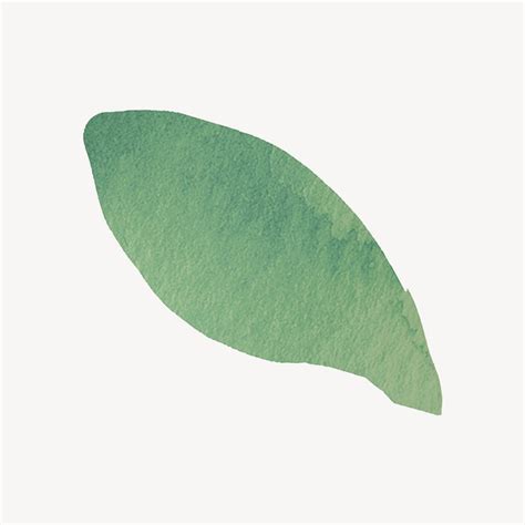 Watercolor green leaf, environment clipart | Premium PSD - rawpixel