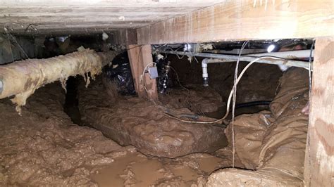 Crawl Space Drainage System