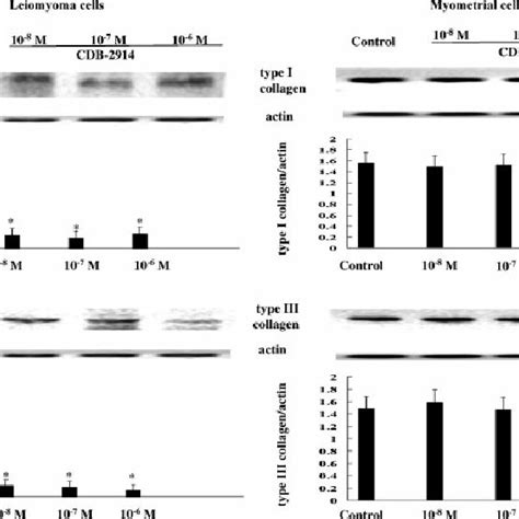 Effects Of Graded Concentration Of Cdb On The Protein Contents Of