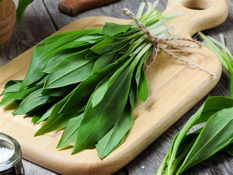 The Best Wild Garlic Recipes Falstaff