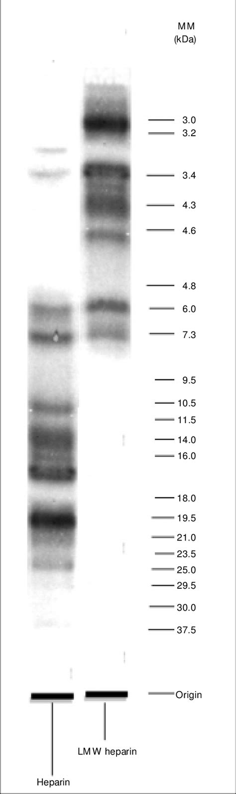 Electrofocusing Of Heparin And Low Molecular Weight Lmw Heparin