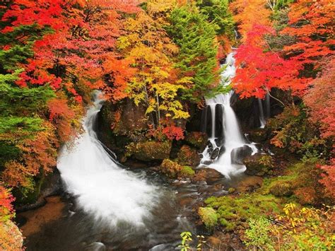 8 Must Dos In Nikko Japan That Will Make You Want To Add It To Your