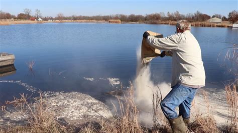 Pond Dam Leaking Spreading Sodium Bentonite Part 1 YouTube