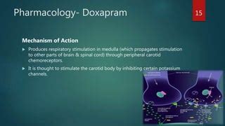 ANALEPTICS - DOXAPRAM | PPT