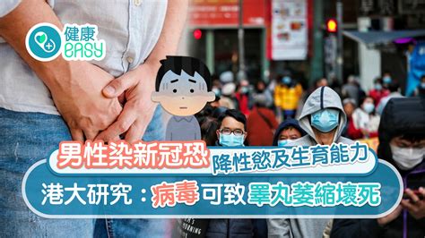 疫情｜男性染新冠恐降生育能力 港大：可致睪丸萎縮一方法可預防