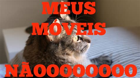 Como Fazer O Gato Parar De Arranhar Os M Veis Youtube