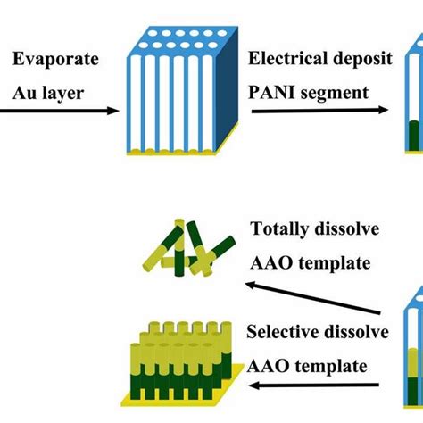 Figure S Schematic Illustration Of The Synthesis Procedure Of