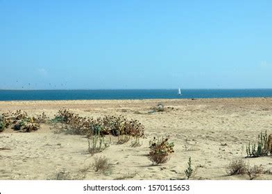 On Beach Monte Gordo Stock Photo 1570115653 | Shutterstock