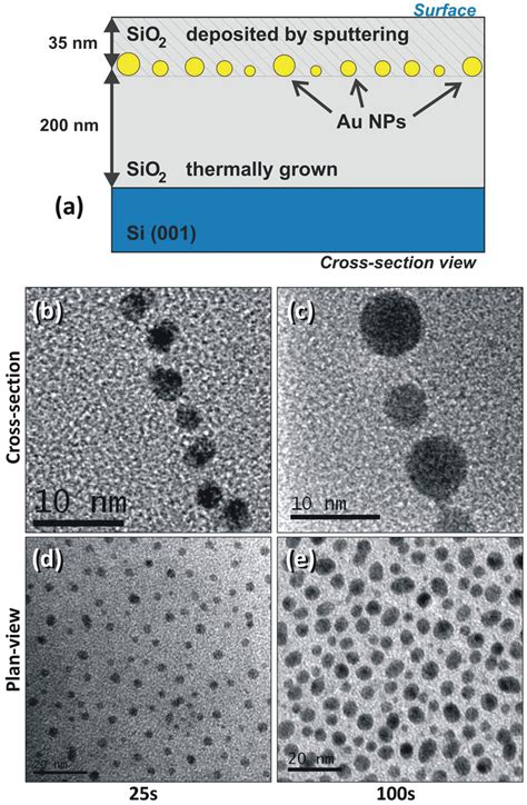 Schematic Cross Sectional Illustration Of The Samples Tem Micrographs