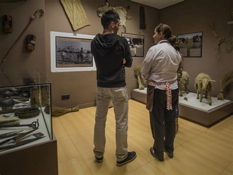 Museo Mqm Museo Del Queso De Toledo