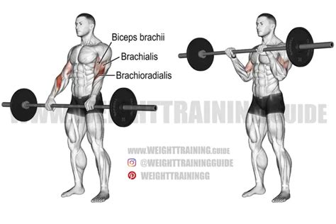 Dumbbell Lateral Raise Exercise Guide And Video Weight Training Guide