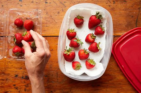 Wie kann man Erdbeeren haltbar machen 3 nützliche Tipps für duftige