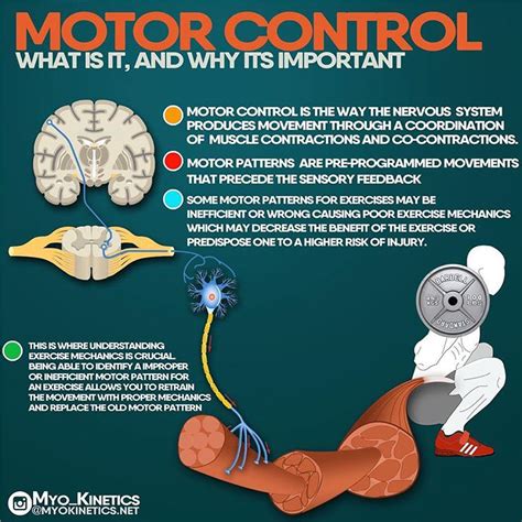 MOTOR CONTROL