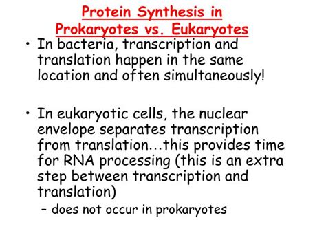 Ppt Protein Synthesis Transcription Powerpoint Presentation Id 4416235