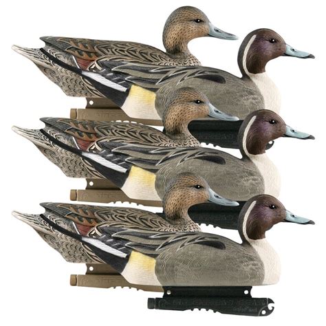 GHG Life Size Pintail Duck Decoys 6 Pack