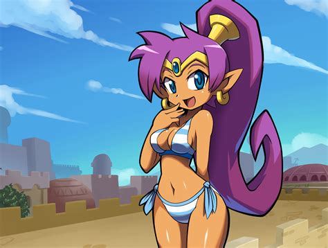 Shantae And The Pirate S Curse