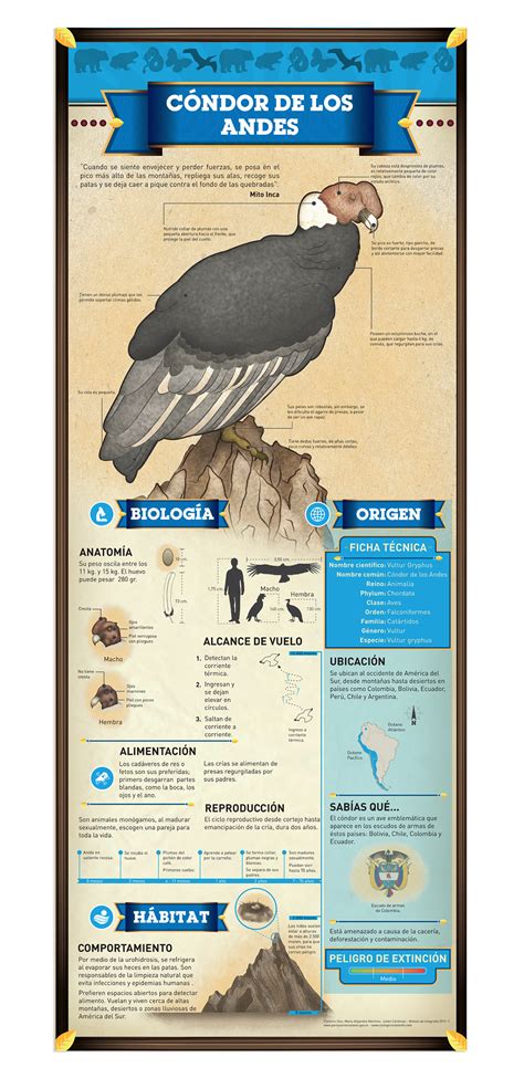 Birds | Santa Fe Zoo on Behance