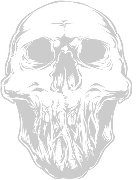 Skull 36635399 Vector Art at Vecteezy