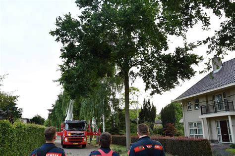 Brandweer Lelystad Verwijdert Gevaarlijk Hangende Tak