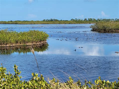 This Breathtaking 140 000 Acre Wildlife Refuge In Florida Is Every Nature Enthusiast S Dream