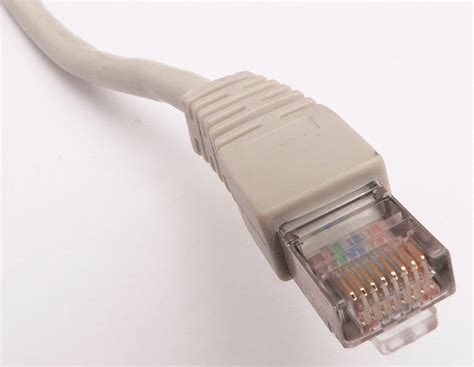 File:Ethernet RJ45 connector p1160054.jpg - Wikipedia, the free ...