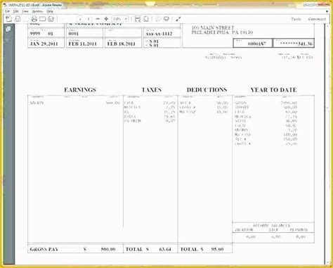 Free Check Stub Template Excel Of Adp Pay Stub Template Excelml ...