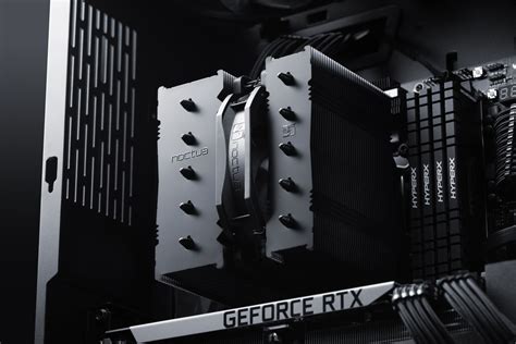 Noctua Unveils NH-D12L chromax.black CPU Cooler: Stunning Black Design ...