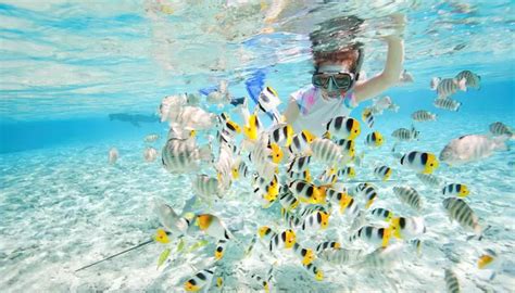 Promo D N Redang Laguna Resort Snorkeling Package Holidaygogogo