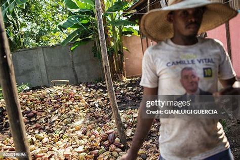 59 Madagascar Cacao Stock Photos, High-Res Pictures, and Images - Getty ...